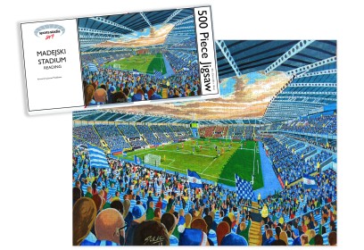 Madejski Stadium Fine Art Jigsaw Puzzle - Reading FC